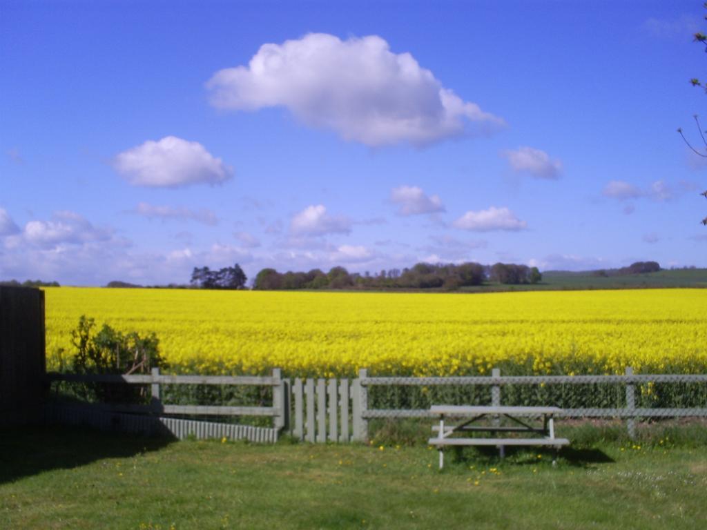 B&B Haven At Avebury Dış mekan fotoğraf